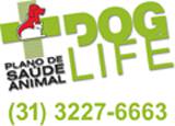 TXI DOG BH  TRANSPORTE DE ANIMAIS EM BH  MG