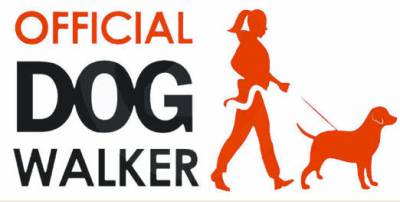 servio de dog walker na regio de Florianopolis