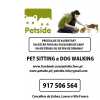 Dog Walking e Pet Sitting em Lisboa e Loures