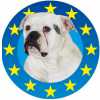 EUROBULLS Kennel - Bulldogs de Luxo