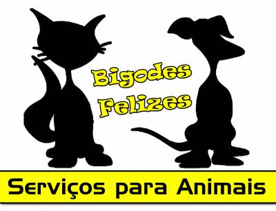 Bigodes Felizes -Treino Canino -Pet Sitting