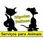 Bigodes Felizes -Treino Canino -Pet Sitting