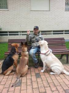 Bigodes Felizes -Treino Canino -Pet Sitting