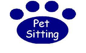 Pet sitting Peniche e arredores