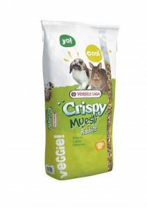 Crispy Muesli Rabbits