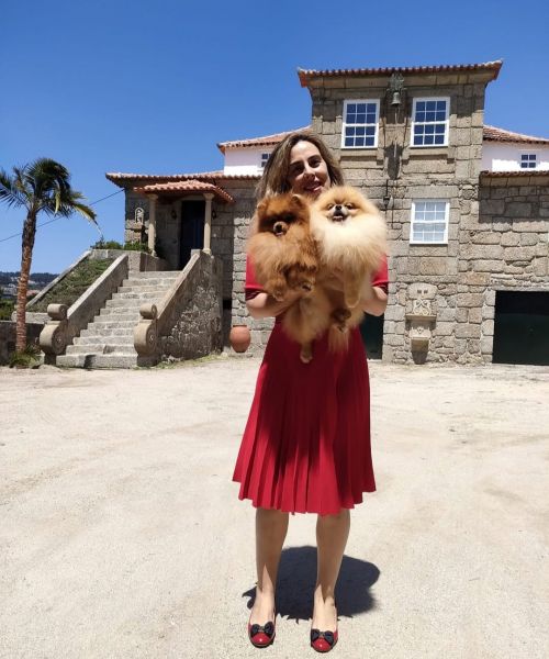 Lulus da Pomer�nia