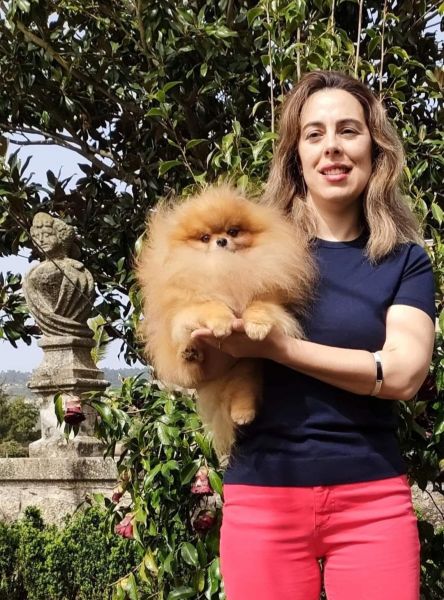 Lulus da Pomer�nia