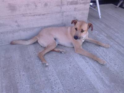 IKER