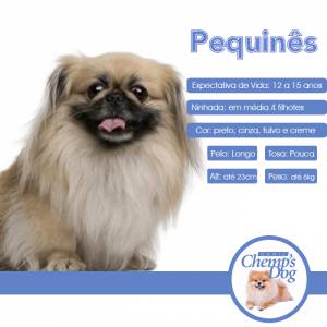 Pequines