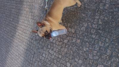 Cruzamento
