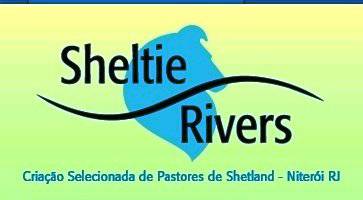 Canil Sheltie Rivers criando pastor de Shetland  com amor e dedicação