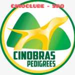 CINOBRAS - Cinoclube SRQ