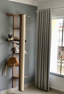 rvore de parede para gatos