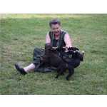 Staffordshire Bull Terrier Cachorros Dispon�vel Lindo Macho E F�meaa