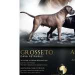 NINHADA DE CANE CORSO