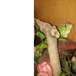 Iguanas babys filhote pronta entrega