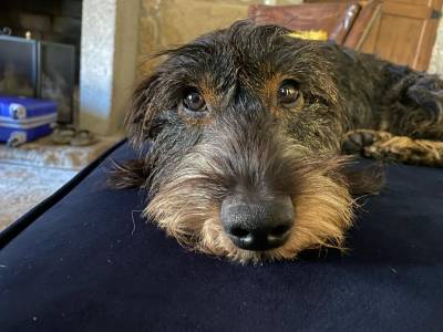 LUIGI - Perdido em Pero Pinheiro