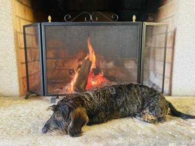 LUIGI - Perdido em Pero Pinheiro
