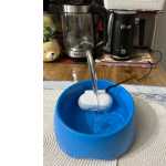 Bebedouro Ces E Gatos 220v