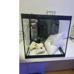 Aquario 35x40x35 Sump Traseiro Com Caixa De Reposio