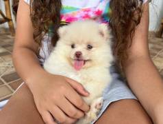 Bebs A Pronta Entrega// Os Mais Fofos Sspitz