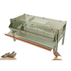 JAULA CODORNIZES REPRODUTORAS v�rios modelos