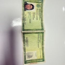 Poodle Macho Microchipado