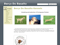 Perdigueiro portugus - Bero do Basalto