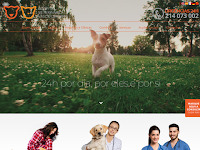 Veterinrio 24 horas