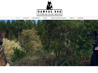 Campus Dog centro de treino canino