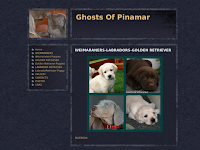 Ghosts Of Pinamar