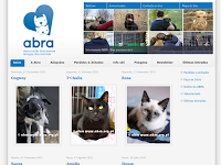 ABRA - Associação Bracarense Amigos dos Animais