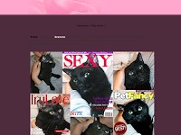 Chop-Suey para adopo