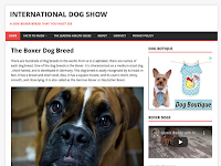 Vila Trancoso - Boxer e Boston Terrier