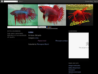Betta-Online - Criao de Bettas Portugal