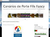 Canrios de porte Fife Fancy