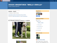 Criador Dogos Argentinos - Brillo Criollo