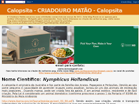 CRIADOURO MATO - CALOPSITA