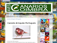 Aves Canrios Coimbra